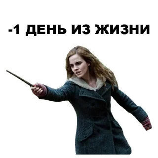 🙎
