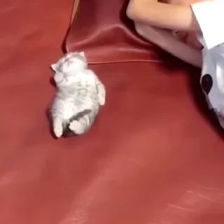 😴