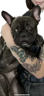 😧