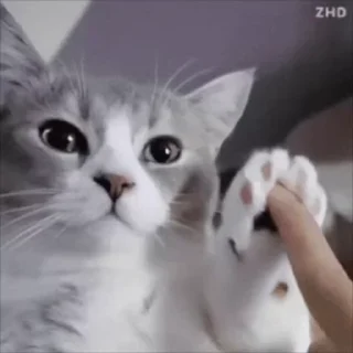 🙌
