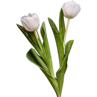 💐