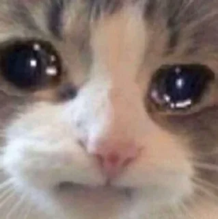 🥺