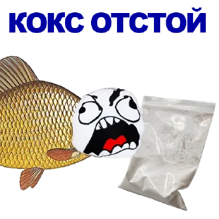 🐠