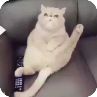 🤩