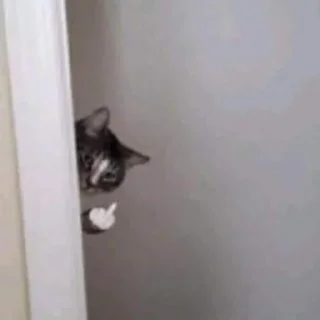😭