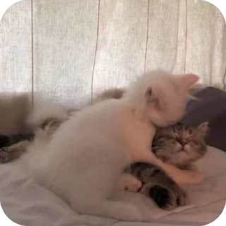 🤗