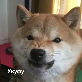 😤