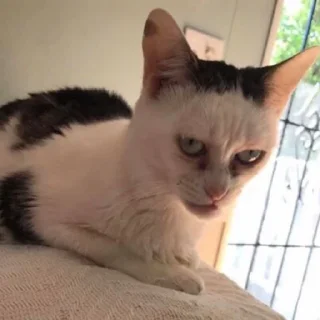 😒