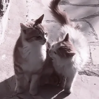 ❤️