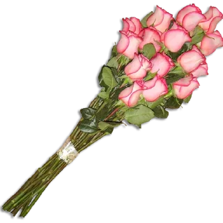 💐