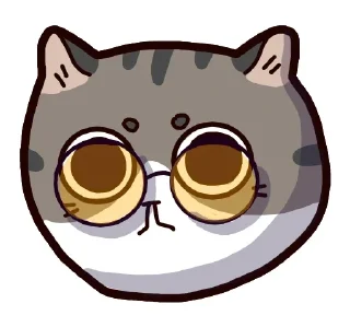 🐈