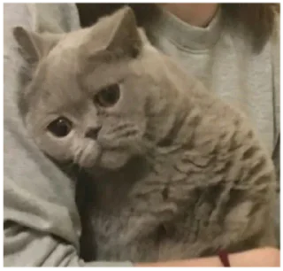 😥