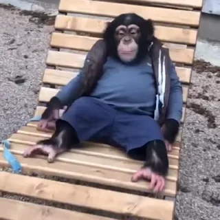 🏖
