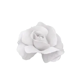 🗝️