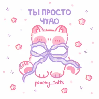 🐈