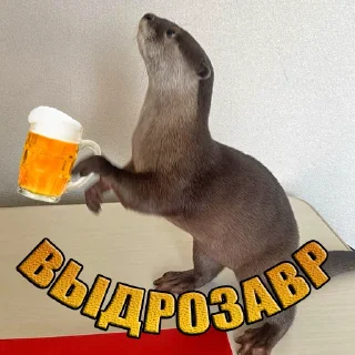 🍺