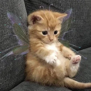 💓💞💗💘💕 :: @fStikBot