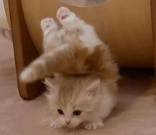 ☺️