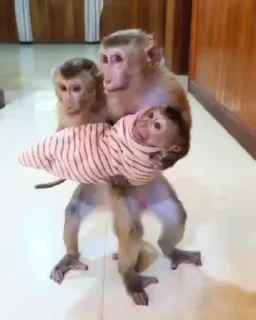 🤱