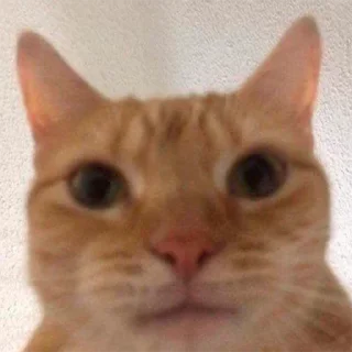 🫤