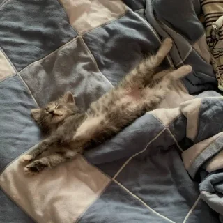 🥱