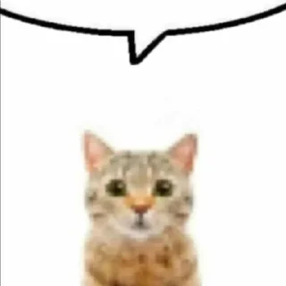 😺