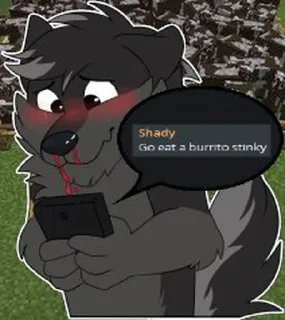 🌮