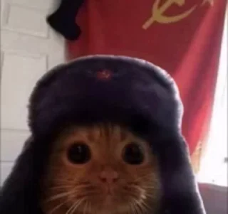 🚩