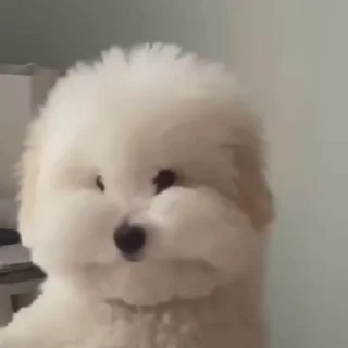 😐