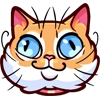 Meme Cats