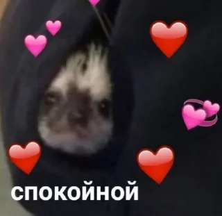 💕