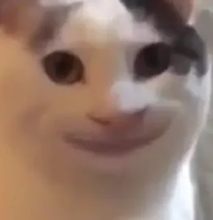 😉