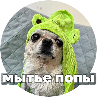 🧼