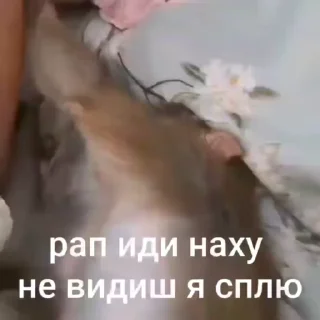 😅