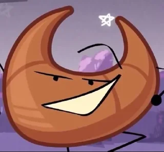 🌟