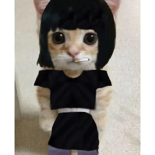 🐱