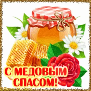 🍯