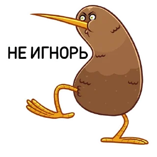🙅‍♂️