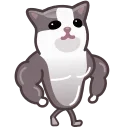 💪