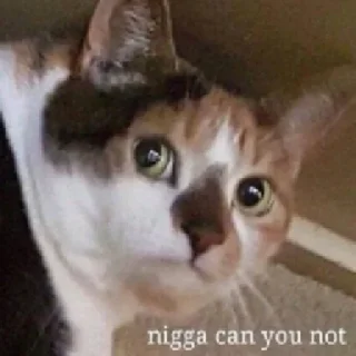 🤫