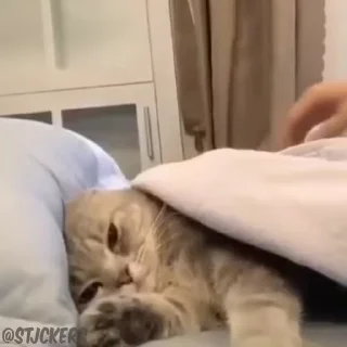 😋