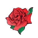 🌹