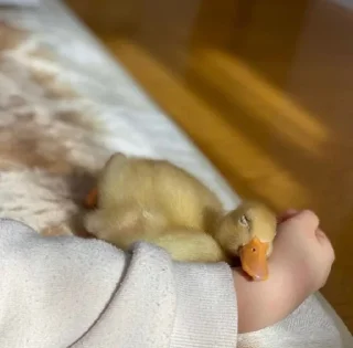 ☺️