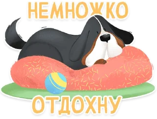 😴