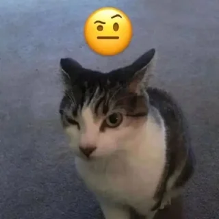 🤨