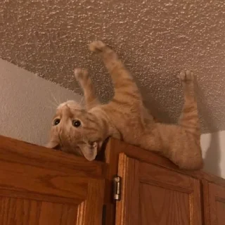 🙃