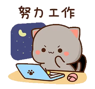 💻