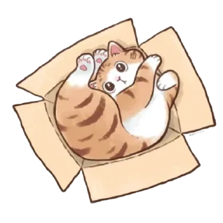 🤲
