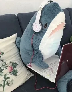 🎧