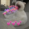 💕💕💕